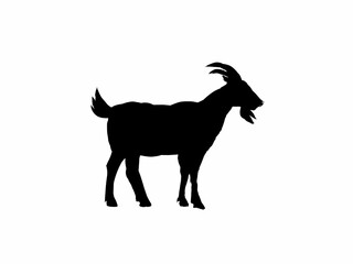 Vector silhouette of a goat. Silhouette of a goat standing in profile on a white background. 