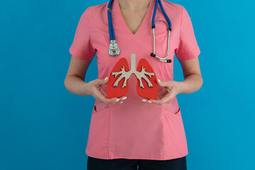Doctor hold in hand anatomical model of human lung