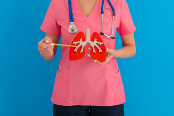 doctor showing pen on a anatomical model of human lung