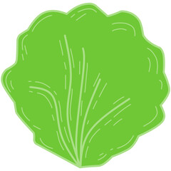 Simple vector illustration of a round green lettuce leaf, featuring clean lines and a flat cartoon style. Ideal for food packaging, healthy eating visuals, organic branding, and vegetarian design.