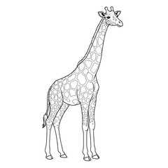 Fototapeta premium Line Art Giraffe Elegant outline of a giraffe with its signature spots and long neck in white background