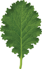 3D Mustard Leaf: Bold, Textured, and Naturally Curled