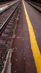railway tracks in the field