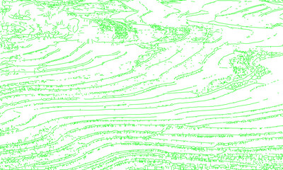 Rice field, land, nature, line art vector illustration, texture, pattern