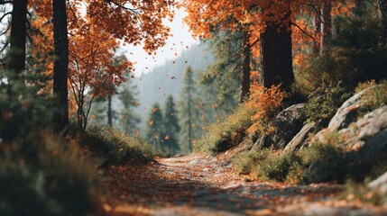 Autumn Forest Path: Falling Leaves