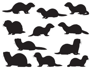 FERRET SILHOUETTE