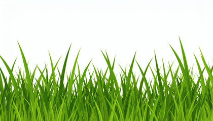 Obraz premium Bright Green Realistic Seamless Grass Pattern Isolated on White Background for Natural and Outdoor Design