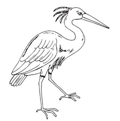 Cute cartoon hand drawn vector Heron bird outline.