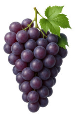 A cluster of ripe purple grapes with a green leaf attached to the stem.