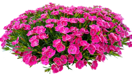 Pink Flower Bush