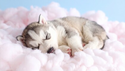 Adorable Sleeping Husky Puppy in Cozy Pastel Setting