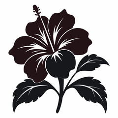 black and white flower