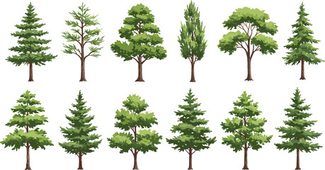 Set of green forest trees illustration, different deciduous and evergreen foliage, natural tree collection, botanical clipart, isolated tree elements, cartoon tree bundle, vector drawing
