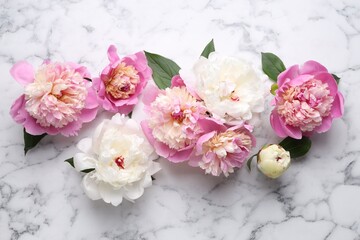 Beautiful peonies and green leaves on white marble table, flat lay