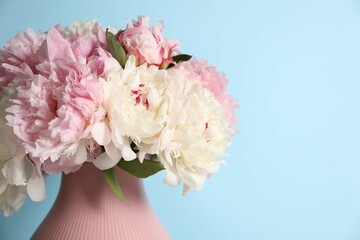 Beautiful peonies in vase on light blue background, closeup. Space for text