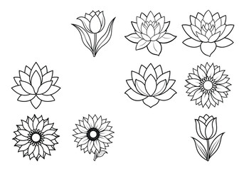 set of  line art flowers