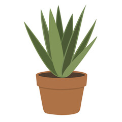 Potted aloe vera plant, a common houseplant with long green leaves, known for its soothing properties and low maintenance, perfect for home decor
