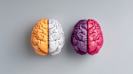 Two brains, one orange and one purple, are shown side by side. The orange brain is on the left and the purple brain is on the right