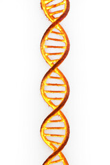 Bright Golden Genetic Strand on Transparent Background