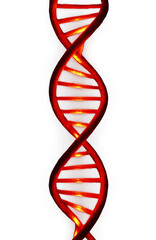 Vibrant Crimson Genetic Strand