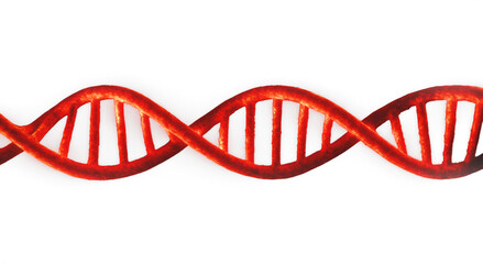 Horizontal Red DNA Helix on Transparent Background