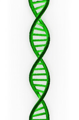 Bright Green DNA Helix on Transparent Background