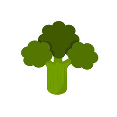 Healthy green broccoli vegetable  vector. Flat design organic food illustration 