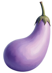Delicious fresh purple eggplant is healthy organic vegetable ingredient