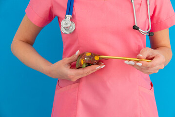 Doctor showing pen on anatomical model human liver above his hands. Concept of healthy liver and donation.