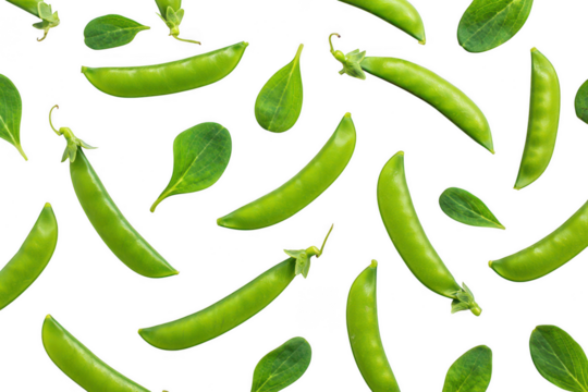 Fresh Green Peas Pattern