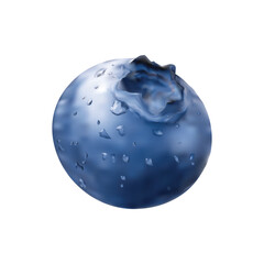 blueberry illustration on white background vol 01