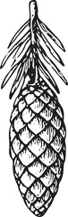 Fototapeta premium An intricately sketched pine cone in black-and-white, showcasing natural texture and organic shape. Perfect for holiday designs, rustic decor, and nature-themed projects, highlighting forest-inspired 