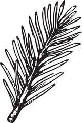 A finely detailed hand-drawn spruce branch with delicate needles, rendered in black-and-white. Ideal for nature-inspired designs, seasonal decor, and woodland crafts, capturing the essence 