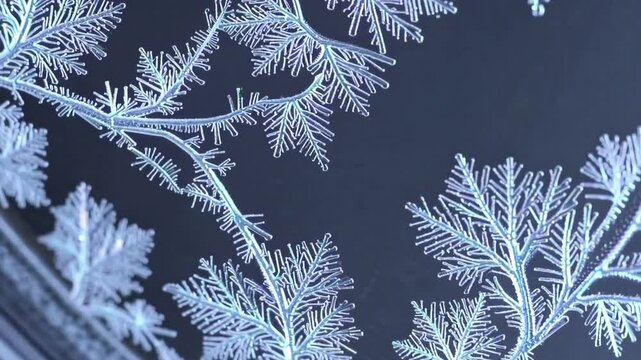 Fascinating close-up exploration of intricate frost patterns formed on a window during a cold winter morning