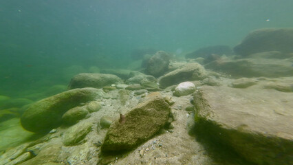 Rocky bottom of a freshwater river. View of large and small stones on the river bottom underwater.