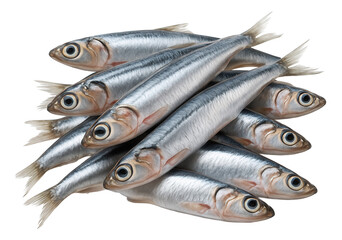 Fototapeta premium A pile of fresh silver sardines with shiny scales and clear eyes, neatly arranged in a stack.