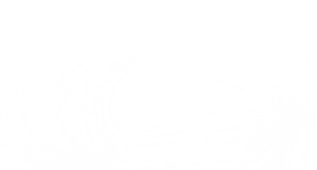 Clean, minimalist white texture background. Perfect for websites, presentations, and designs.