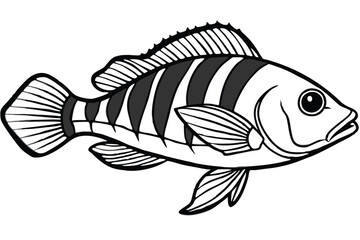 Vibrant cleaner wrasse fish illustration on white background