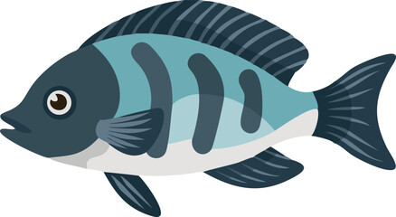 Colorful convict cichlid fish illustration on white background