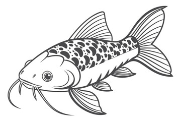 Detailed corydoras catfish illustration on white background