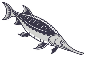 Elephant nose fish illustration on white background