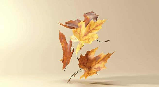 Swirling Maple Leaves in Autumn Breeze