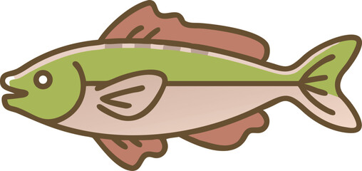 Detailed illustration of a glass catfish on white background