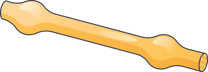 Illustration of an unmyelinated axon, showing its structure without myelin sheath.