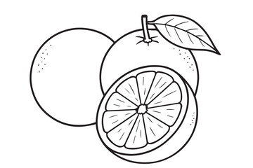 Three oranges are illustrated in black and white, their forms defined by thick black outlines that emphasize simplicity, balance, and organic beauty.

