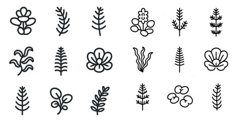 Obraz premium Floral outline icons set – nature, botanical, plant graphics collection