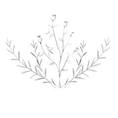 drawing minimal botanical graphic sketch drawing tiny tattoo design, floral elements vector illustration 