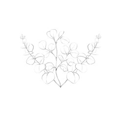 drawing minimal botanical graphic sketch drawing tiny tattoo design, floral elements vector illustration 