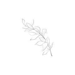 drawing minimal botanical graphic sketch drawing tiny tattoo design, floral elements vector illustration 