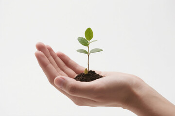 Green Growth Concept in Hand